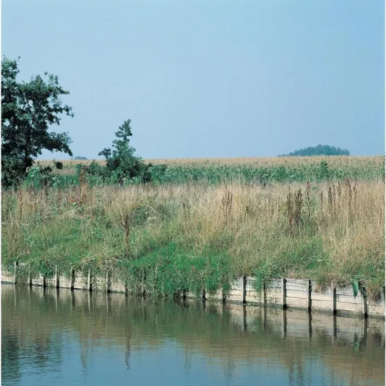 Bordure en bois exotique tressé Azobe