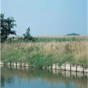 Bordure en bois exotique tressé Azobe (pour pièces d'eau)